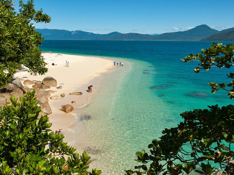 reef tours from fitzroy island