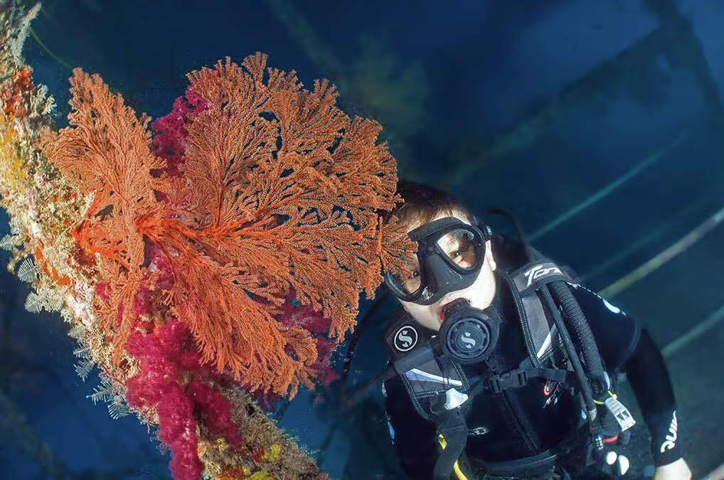 Moore Reef x iLoveCairns Diving Adventure