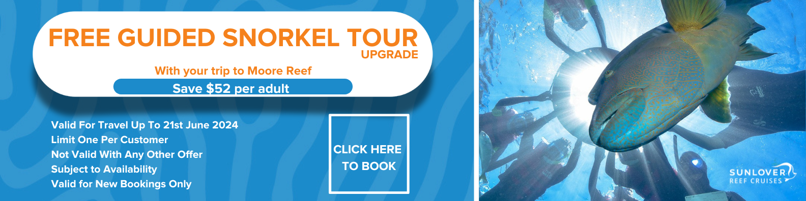 Free guided snorkel tour upgrade