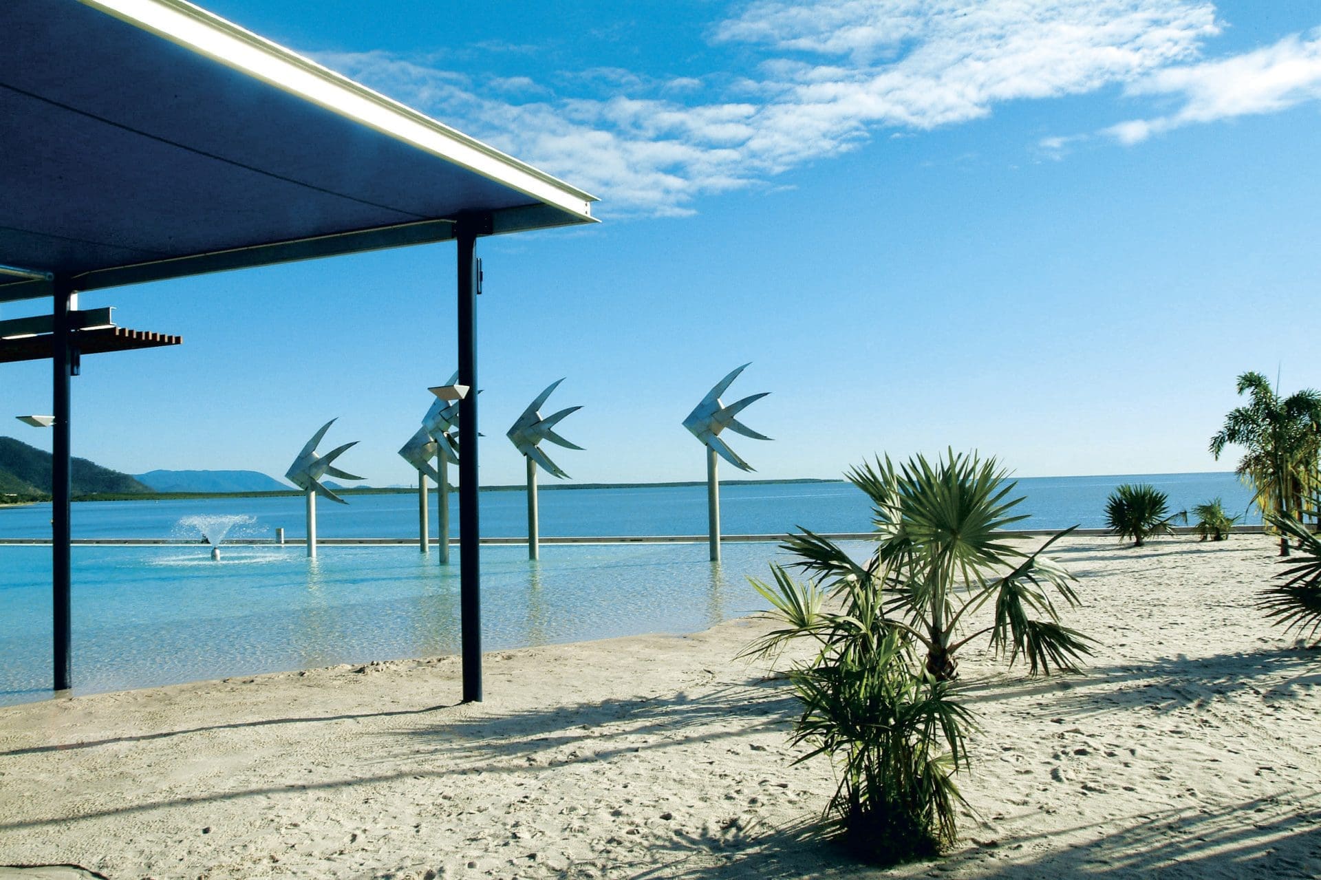 Top Things to Do in Cairns – Great Barrier Reef Tours & More