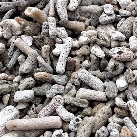 Coral fragment beach at Nudey Beach on Fitzroy Island — first stop destination surrounded by tropical rainforest and fringing reef