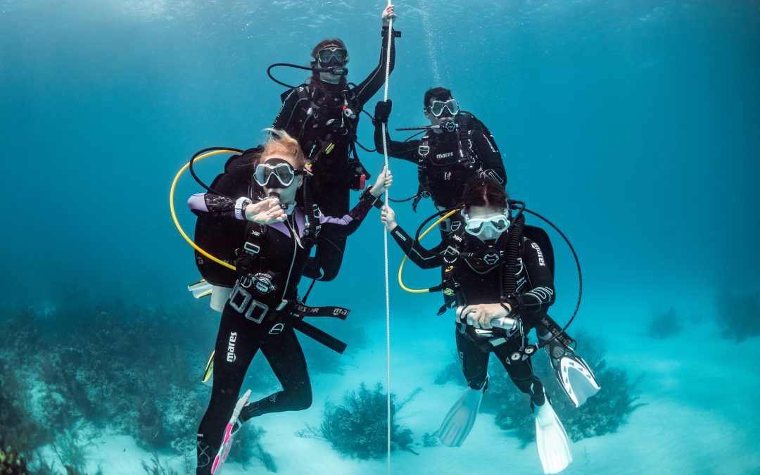4 scuba students descend using a control descent line during their open water training course.