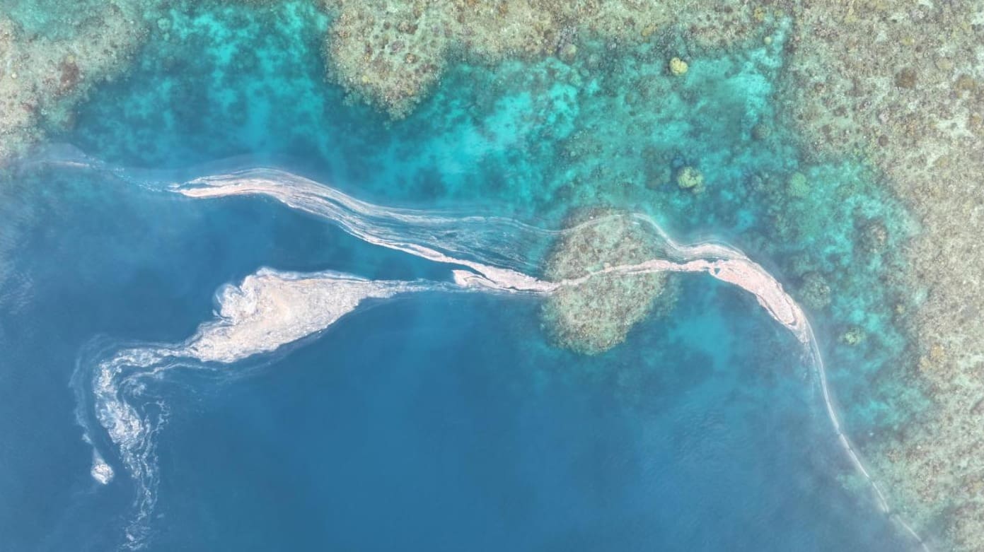 Great Barrier Reef spawning nights near as strong El Niño looms